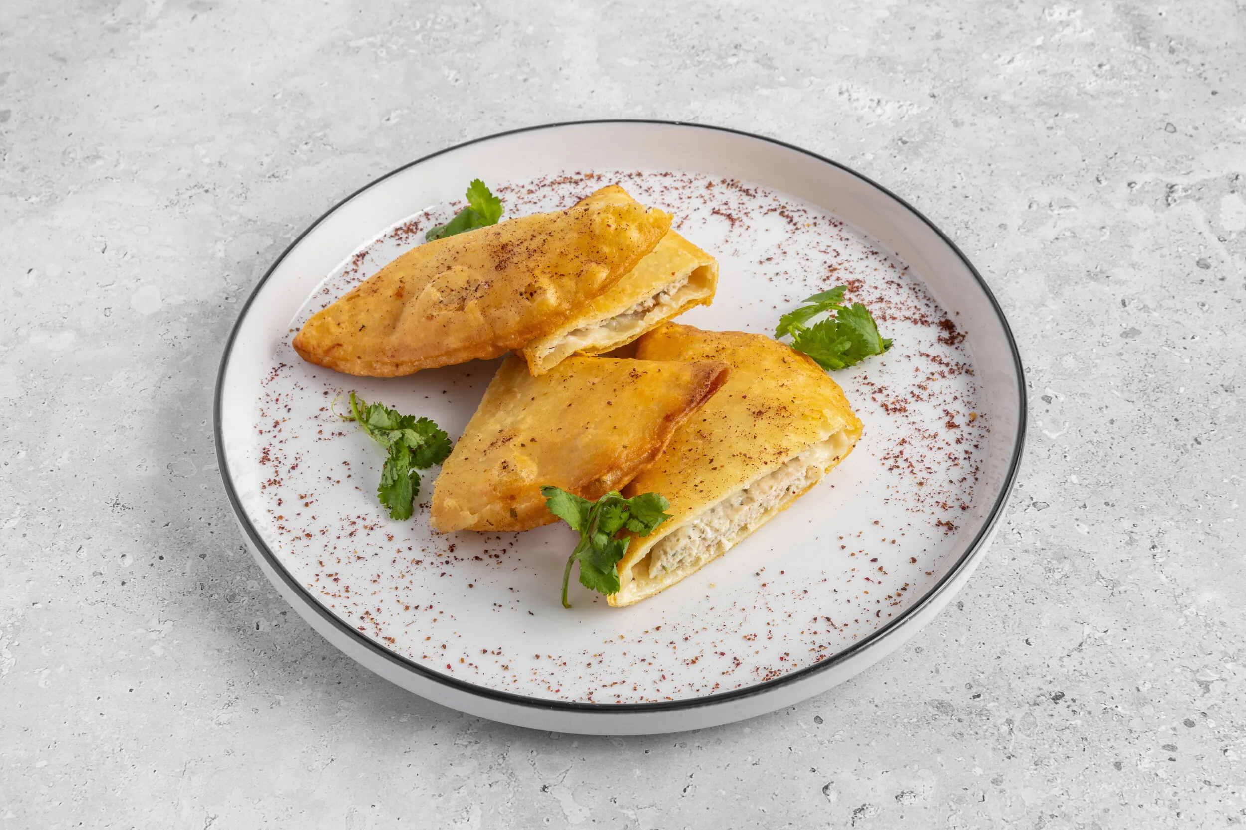 Crispy Meat Pocket